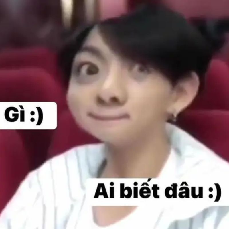 ảnh ai biết gì đâu meme