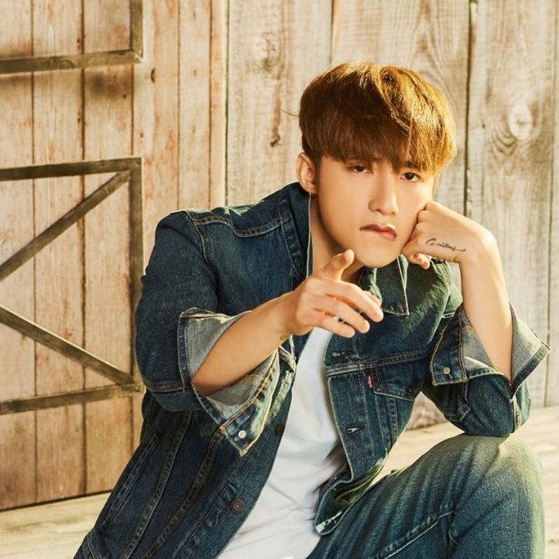 +99 ảnh Sơn Tùng M-TP mới nhất, thần thái đỉnh cao cực cuốn 32 Ảnh avatar Sơn Tùng M-TP đẹp trai