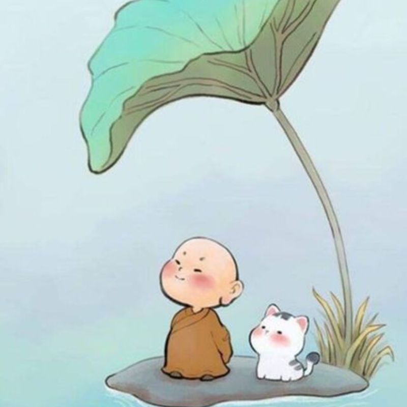 100+ Avatar chú tiểu an nhiên, đáng yêu, được yêu thích hiện nay 12 Avatar hình chú tiểu đứng với chú mèo dễ thương