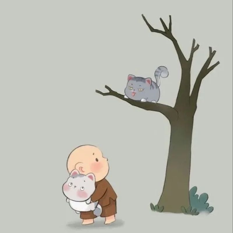 100+ Avatar chú tiểu an nhiên, đáng yêu, được yêu thích hiện nay 20 Avatar hình chú tiểu ôm mèo đáng yêu