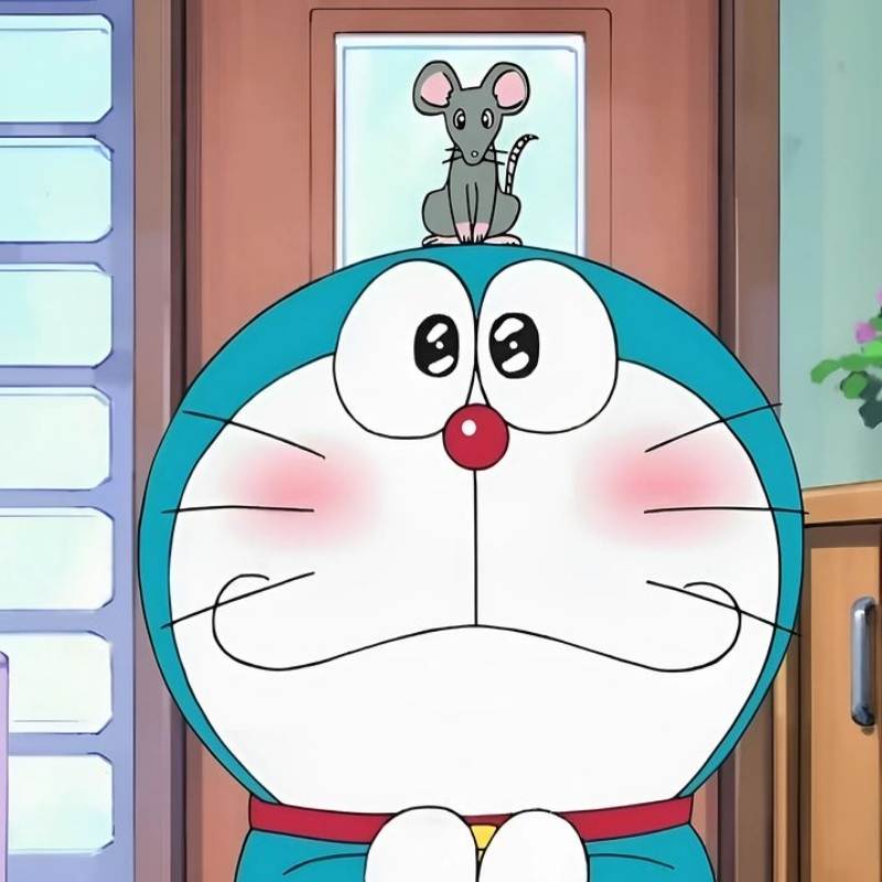 100+ avatar Doremon mới siêu dễ thương, ngầu năm 2026 14 avatar mèo máy doremon hài hước