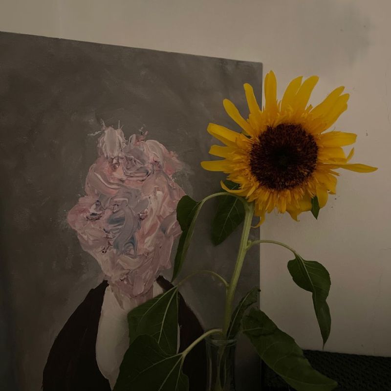 100+ Avatar hoa hướng dương đẹp, rực rỡ hợp mọi nền tảng social 23 avatar hoa huong duong 21