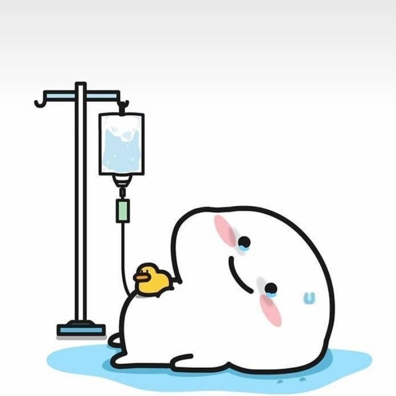 +100 avatar TikTok vô tri cute, cực lầy lội, nhìn là muốn dùng 61 avatar vô tri cute trên TikTok