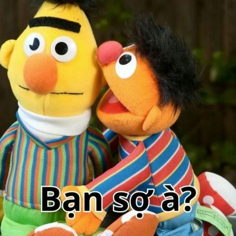 89+ bộ sưu tập bạn sợ à meme hài hước nhất mạng xã hội 14 ảnh bạn sợ à meme