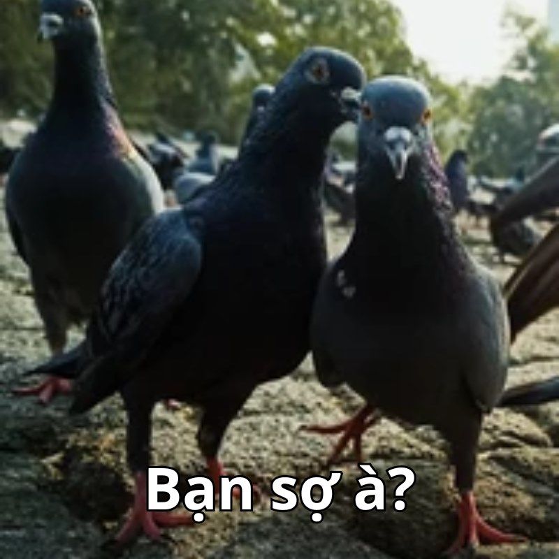 89+ bộ sưu tập bạn sợ à meme hài hước nhất mạng xã hội 24 ảnh bạn sợ à meme