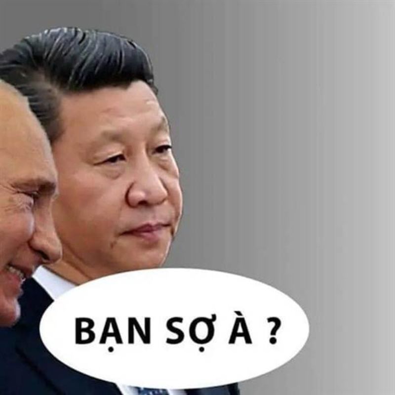 89+ bộ sưu tập bạn sợ à meme hài hước nhất mạng xã hội 6 ảnh bạn sợ à meme