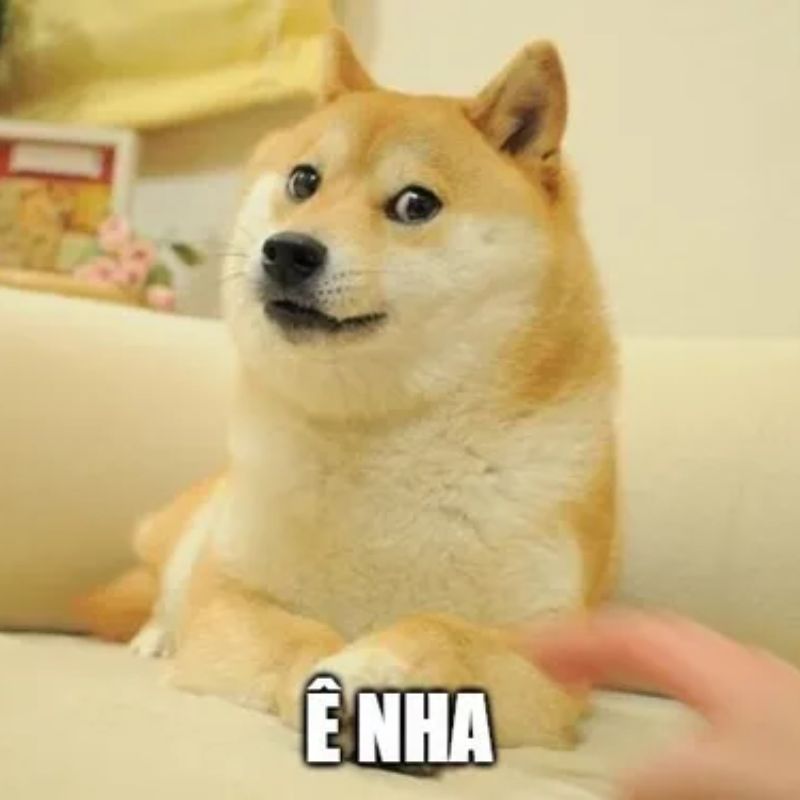 "Nhìn mặt tao có quan tâm không?"