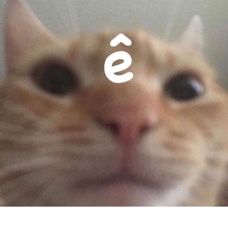 "Ê giỡn mặt hã???"