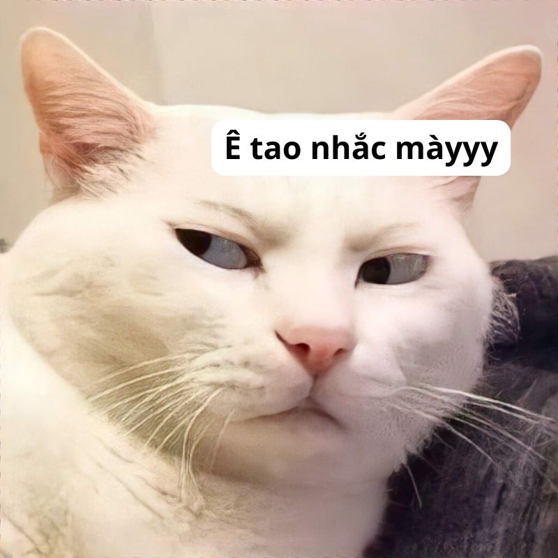 "Ê giỡn mặt hả? Nhìn mặt tao có zui không?"