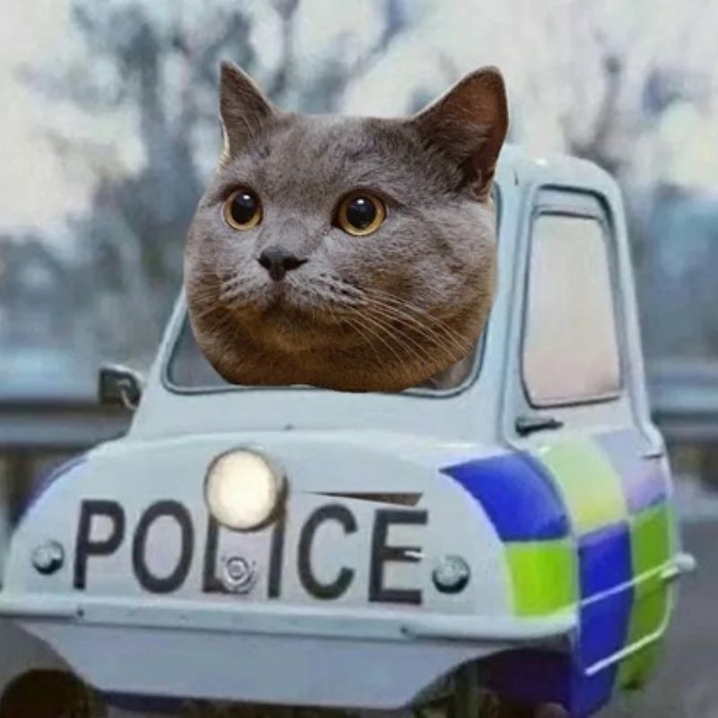 "Police đây! Giơ tay lên mấy con sen"