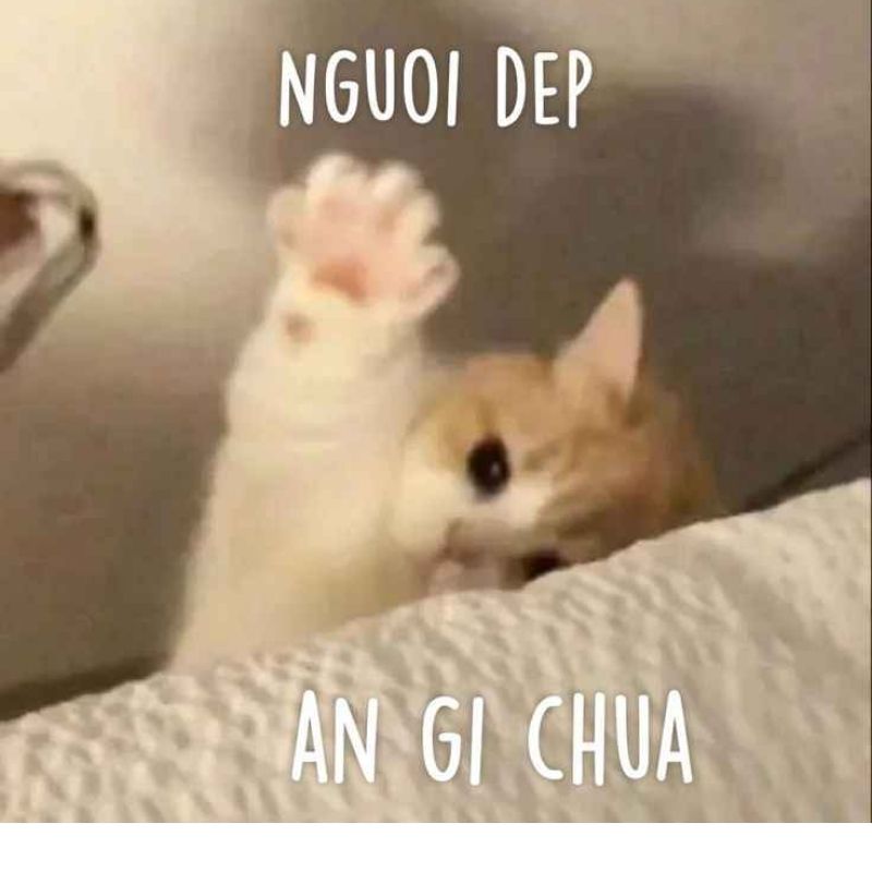 Nếu mà mệt quá... thì mình ăn thôi!!!