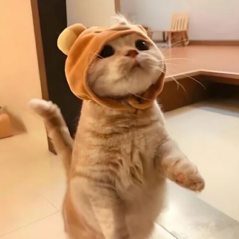 "Thấy trẫm mà con sen ngươi còn buồn được à?"