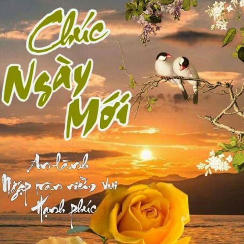 69+ meme chào buổi sáng hài hước giúp ngày mới thêm vui 3 Ảnh chào buổi sáng sến, hài hước