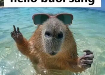 69+ meme chào buổi sáng hài hước giúp ngày mới thêm vui 50 Meme chào buổi sáng hài hước