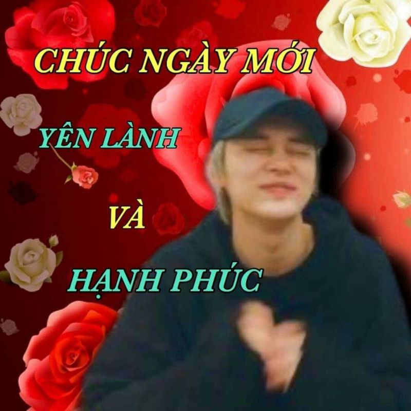 69+ meme chào buổi sáng hài hước giúp ngày mới thêm vui 5 meme chào ngày mới hài hước