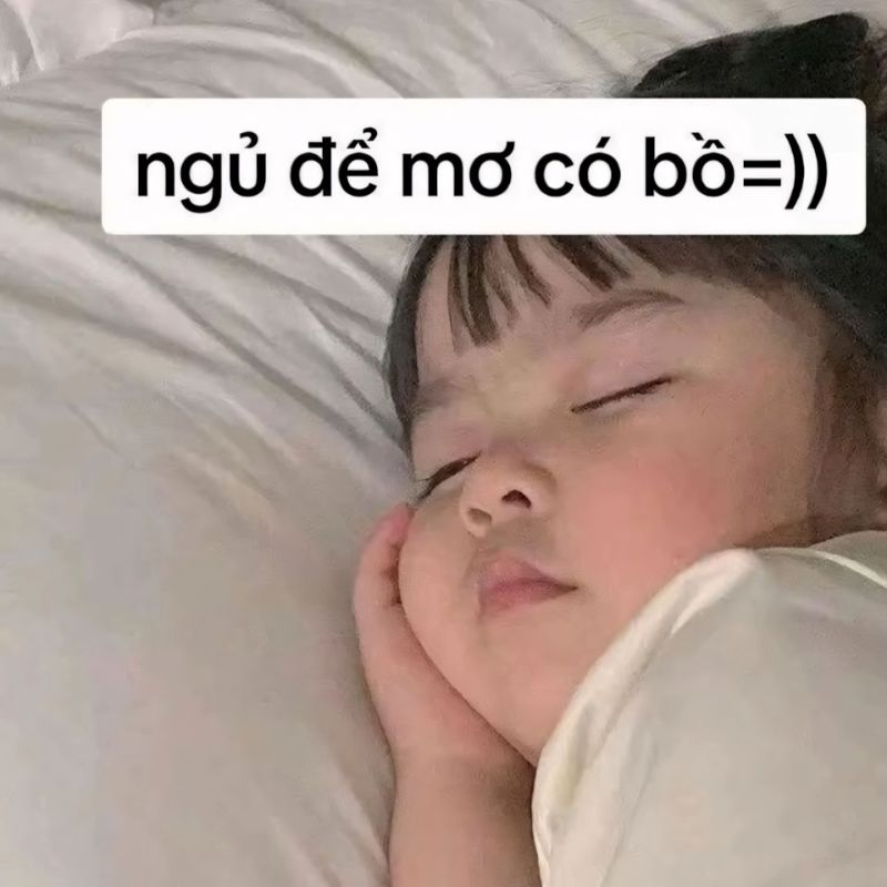 Meme ngủ ngon hài