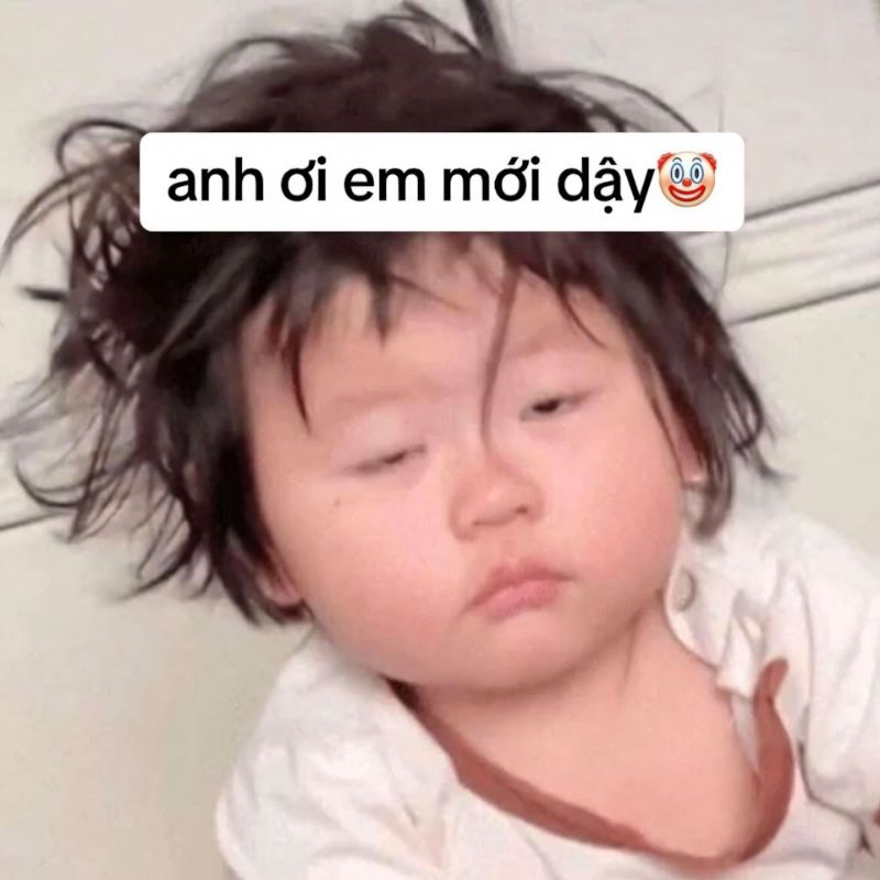 meme ngủ
