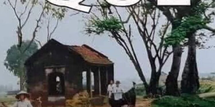 Người nhà quê meme