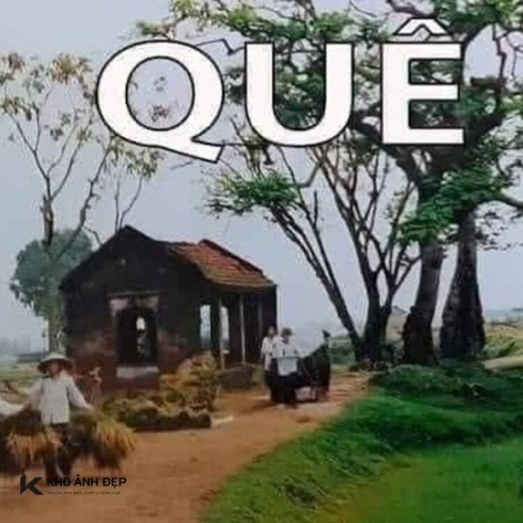 88+ ảnh người nhà quê meme hài hước, cười bể bụng 1 Người nhà quê meme