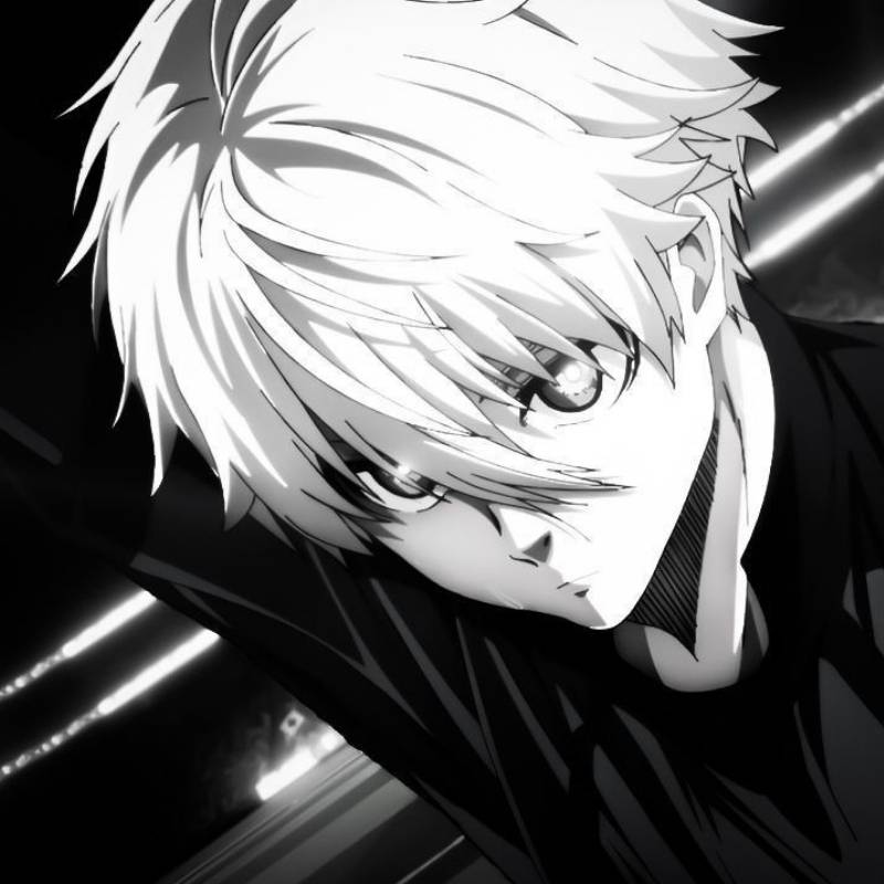 100+ avatar anime sáng đẹp lung linh, huyền ảo dành cho nam và nữ 24 avatar anime sang 21