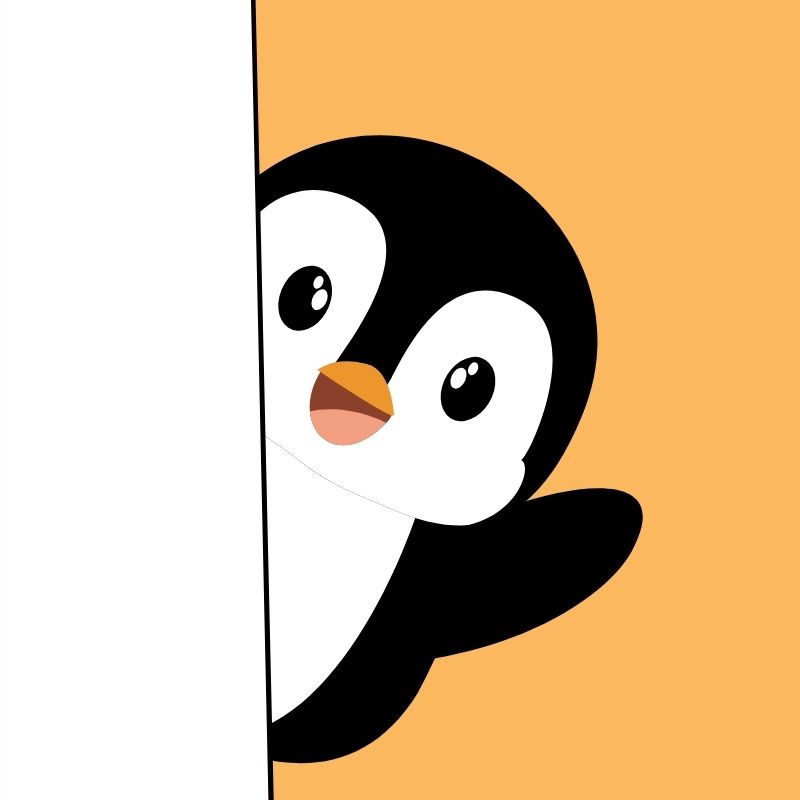 Tổng hợp 99+ avatar chim cánh cụt dễ thương, cute và độc đáo 13 avatar chim cánh cụt