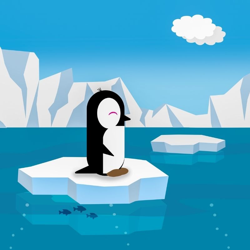 Tổng hợp 99+ avatar chim cánh cụt dễ thương, cute và độc đáo 15 avatar chim cánh cụt