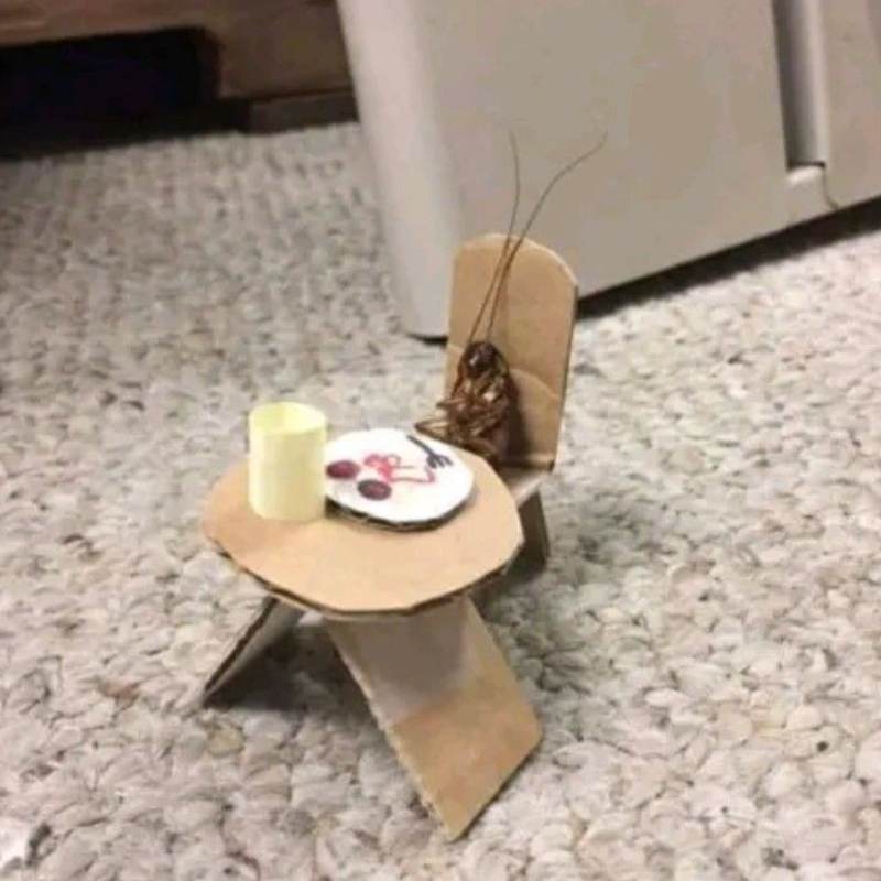 Tuyển chọn 50+ Avatar Con Gián vô tri, hài hước hot nhất hiện nay 9 avatar cute con gián ngồi ăn sáng