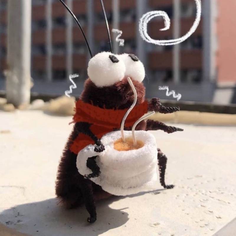 Tuyển chọn 50+ Avatar Con Gián vô tri, hài hước hot nhất hiện nay 30 avatar con gian 21