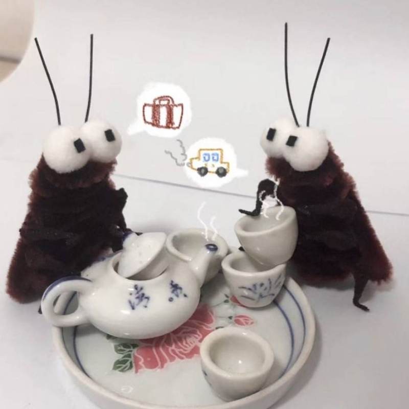 Tuyển chọn 50+ Avatar Con Gián vô tri, hài hước hot nhất hiện nay 26 avatar con gian 25