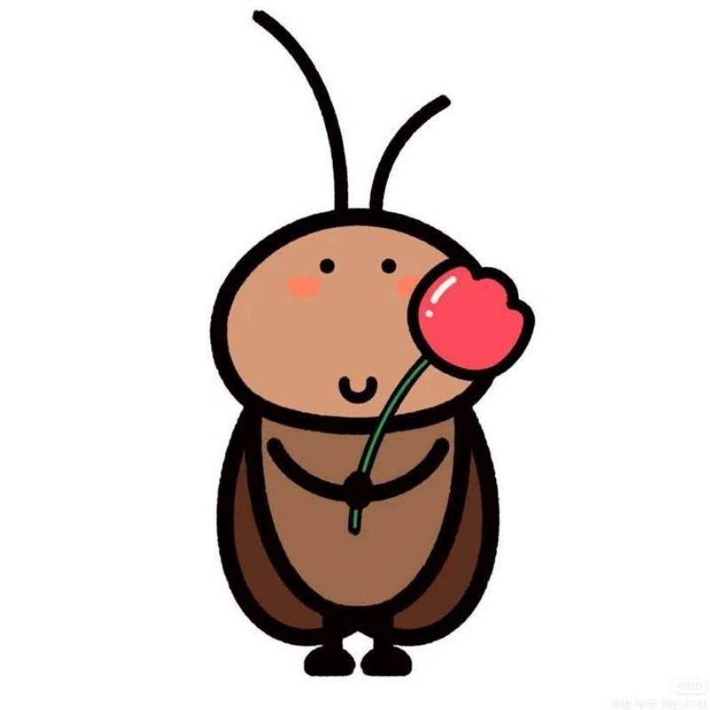 Tuyển chọn 50+ Avatar Con Gián vô tri, hài hước hot nhất hiện nay 5 avatar con gián tặng bông