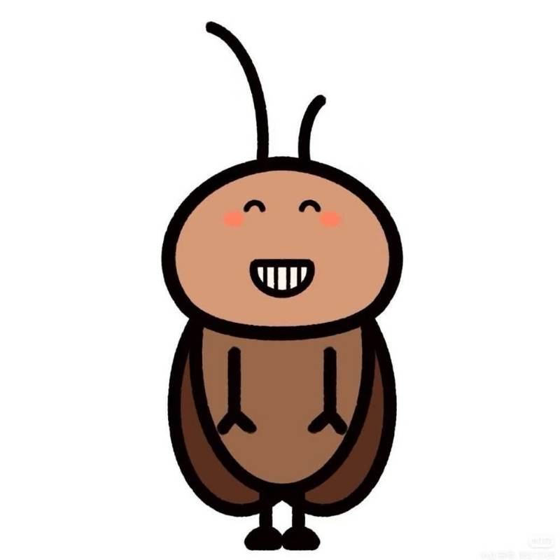 Tuyển chọn 50+ Avatar Con Gián vô tri, hài hước hot nhất hiện nay 6 avatar con gian 4