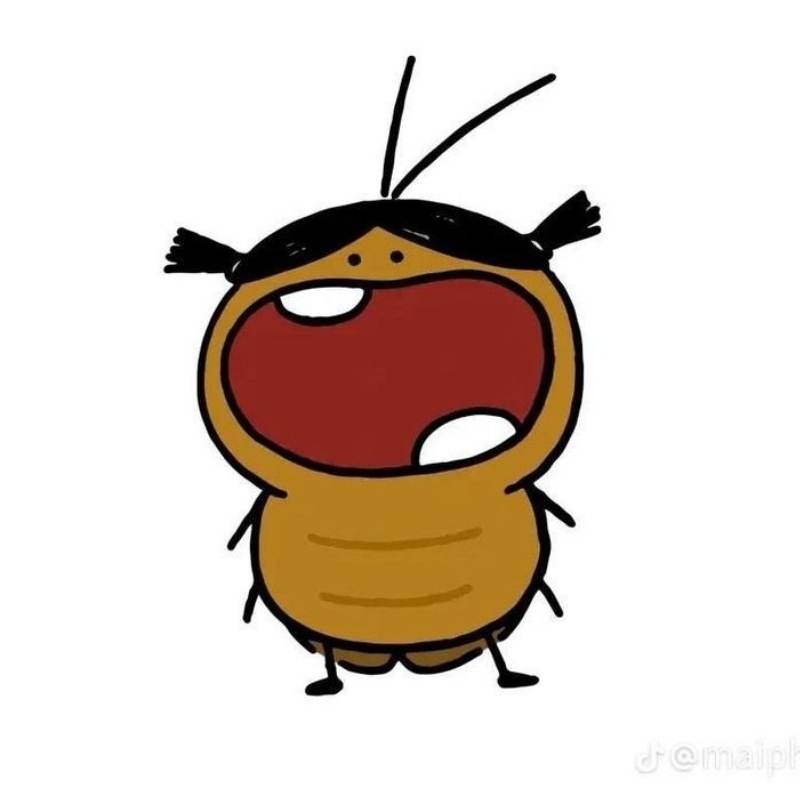 Tuyển chọn 50+ Avatar Con Gián vô tri, hài hước hot nhất hiện nay 12 avatar con gian 9