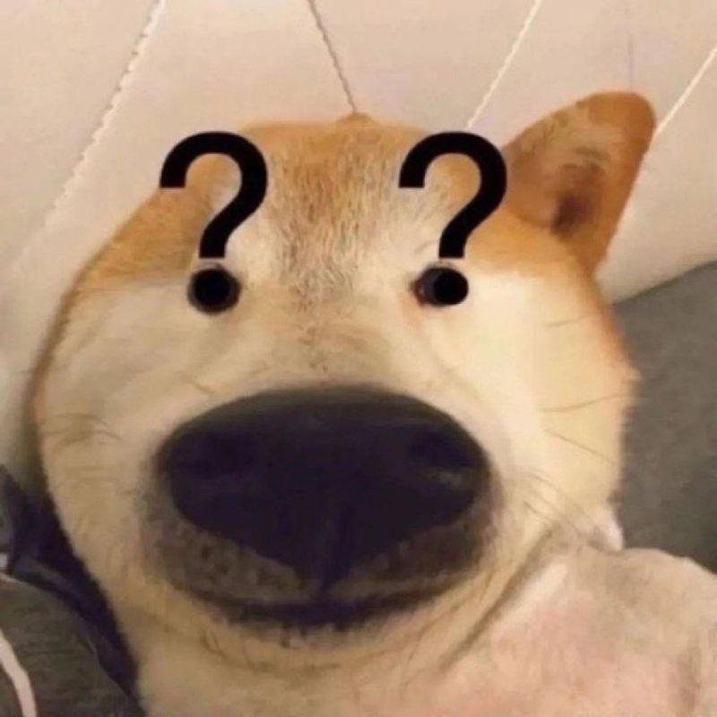 109+ ảnh avatar Discord đẹp đủ thể loại ngầu, cute chất lượng HD 11 Discord avatar chó chấm hỏi