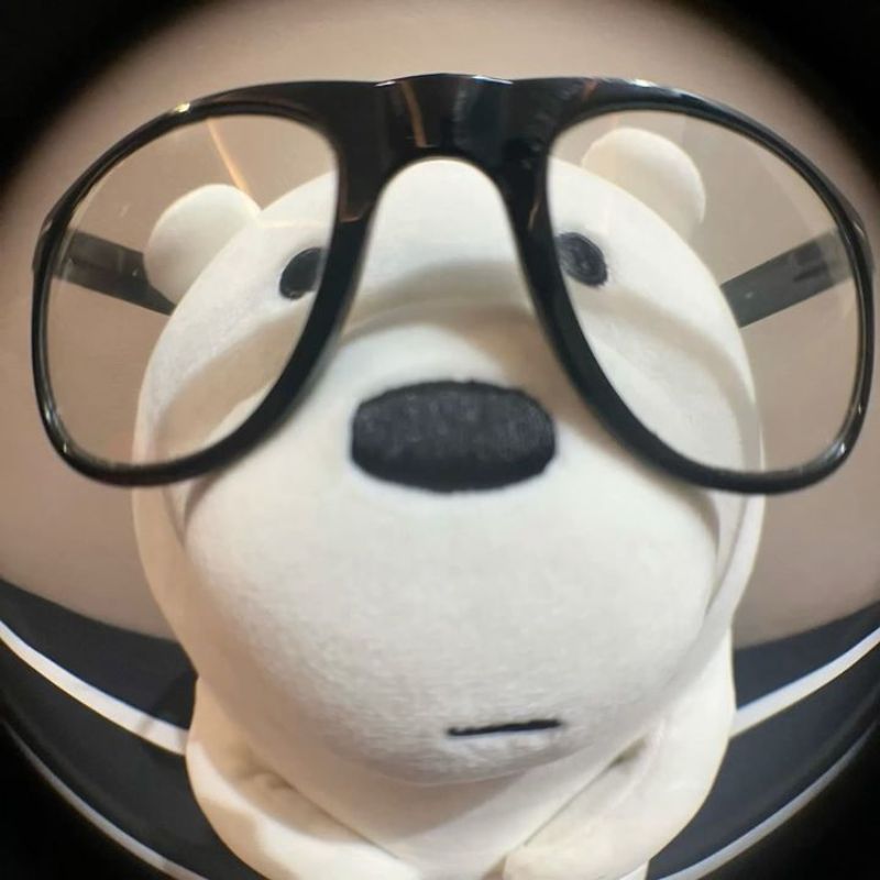 109+ ảnh avatar Discord đẹp đủ thể loại ngầu, cute chất lượng HD 10 Avatar Discord gấu ngố