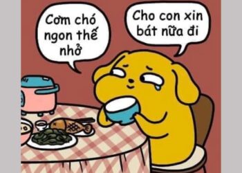 Cơm chó là gì? 101+ ảnh cơm chó meme lầy lội khiến hội FA “khóc thét” 52 100+ cơm chó meme hài hước, lầy lội khiến hội FA “khóc thét”