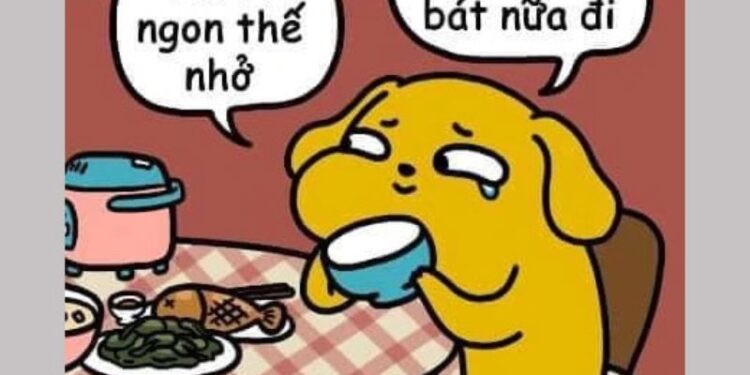 100+ cơm chó meme hài hước, lầy lội khiến hội FA “khóc thét”