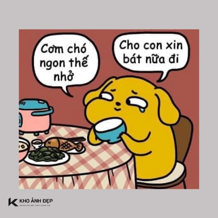 100+ cơm chó meme hài hước, lầy lội khiến hội FA “khóc thét”