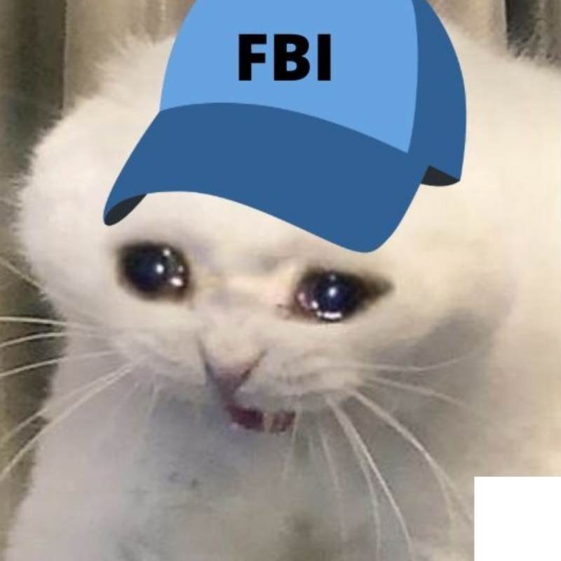 Tổng hợp FBI meme hài hước, khó đỡ, troll khiến bạn cười xỉu 14 fbi meme 13