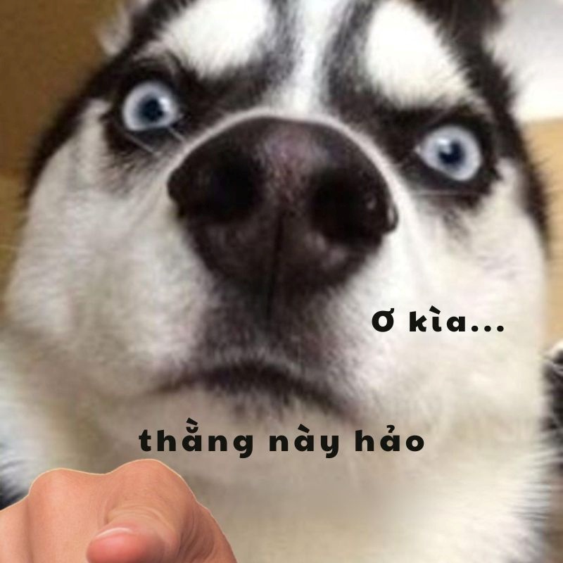 99+ Hảo hán meme hài hước cho mỗi pha “Nể Thật Sự” 20 Meme ơ kìa thằng này hảo