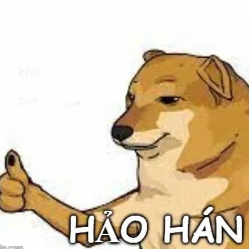 99+ Hảo hán meme hài hước cho mỗi pha “Nể Thật Sự” 24 Meme chó hảo hán