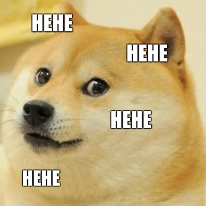 99+ ảnh hehe meme nổi tiếng với biểu cảm cười gian cực bựa 17 Meme chó hehe