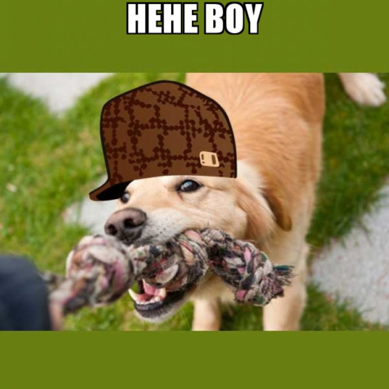 99+ ảnh hehe meme nổi tiếng với biểu cảm cười gian cực bựa 6 Meme hehe boy hài hước