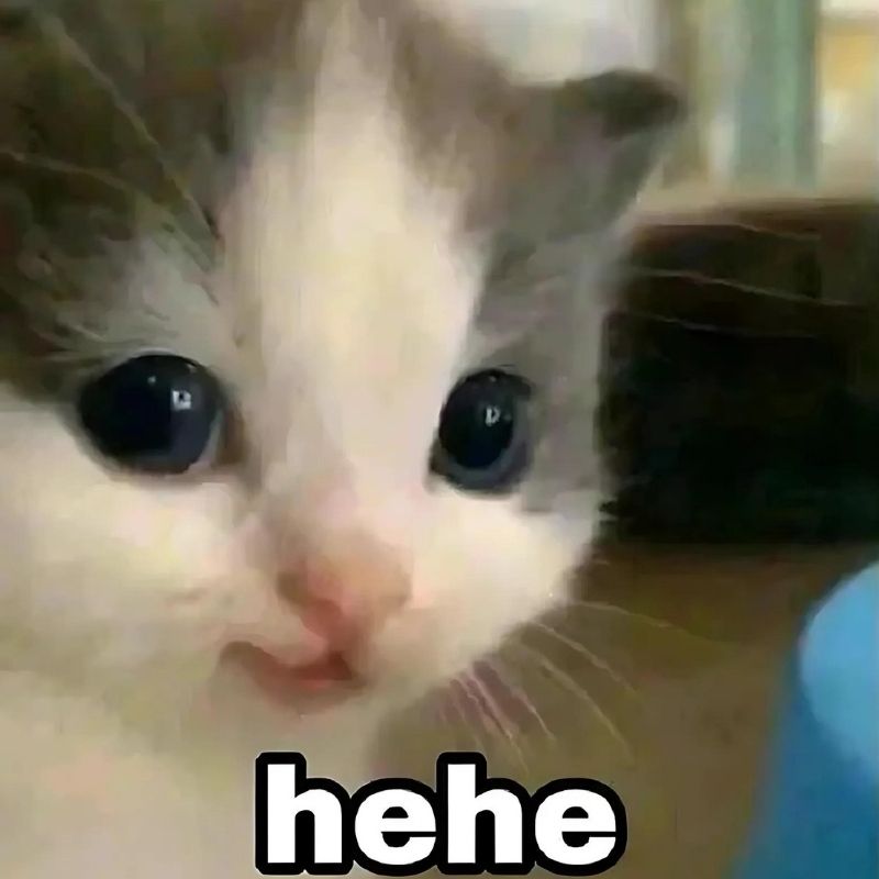99+ ảnh hehe meme nổi tiếng với biểu cảm cười gian cực bựa 20 Meme mèo hehe