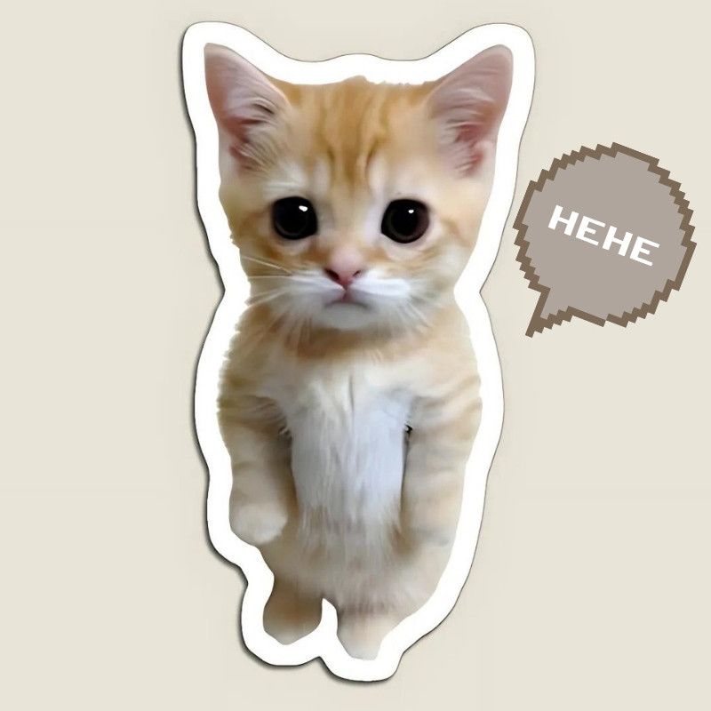 99+ ảnh hehe meme nổi tiếng với biểu cảm cười gian cực bựa 22 Meme mèo hehe đáng yêu