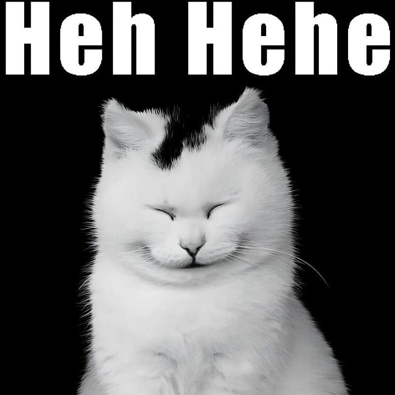 99+ ảnh hehe meme nổi tiếng với biểu cảm cười gian cực bựa 24 Meme mèo hehe nham hiểm