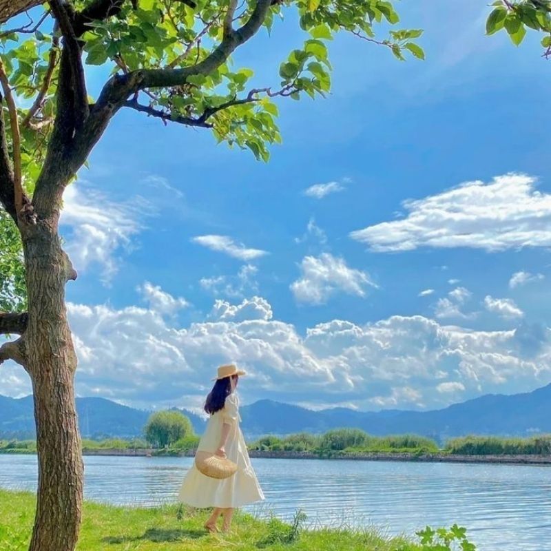 Sưu tầm 99+ hình avatar đẹp nhất thế giới độc đáo, nhìn là mê 6 Hình avatar đẹp nhất thế giới cảnh sắc