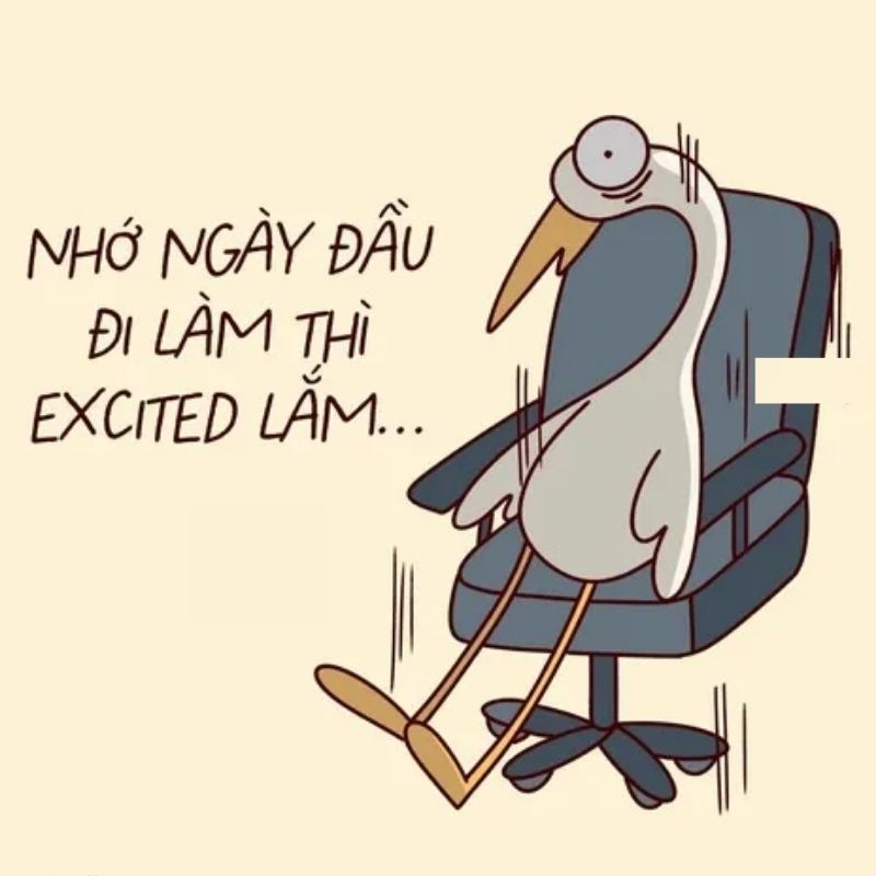 199+ meme công sở hài hước khiến dân văn phòng cười xỉu 18 Meme công sở Cò Lõ hài