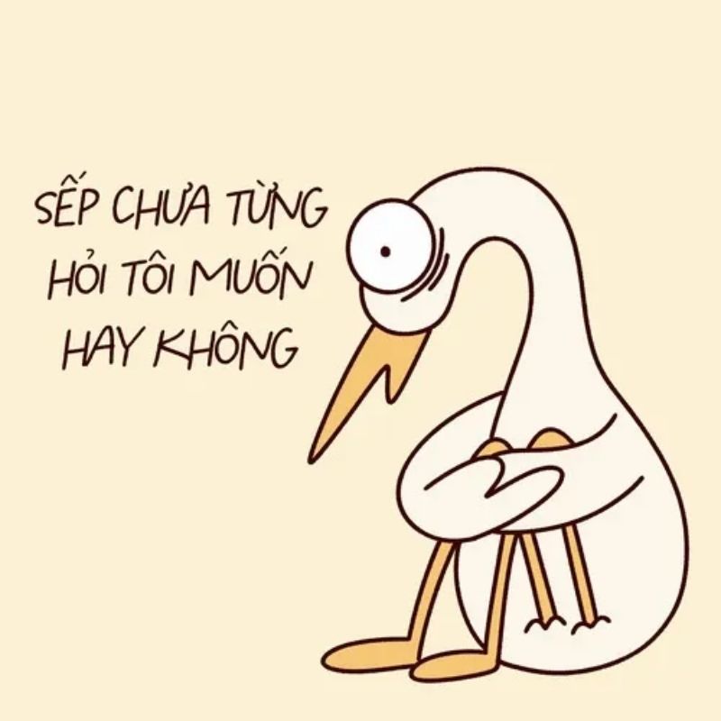 199+ meme công sở hài hước khiến dân văn phòng cười xỉu 19 Meme công sở Cò Lõ