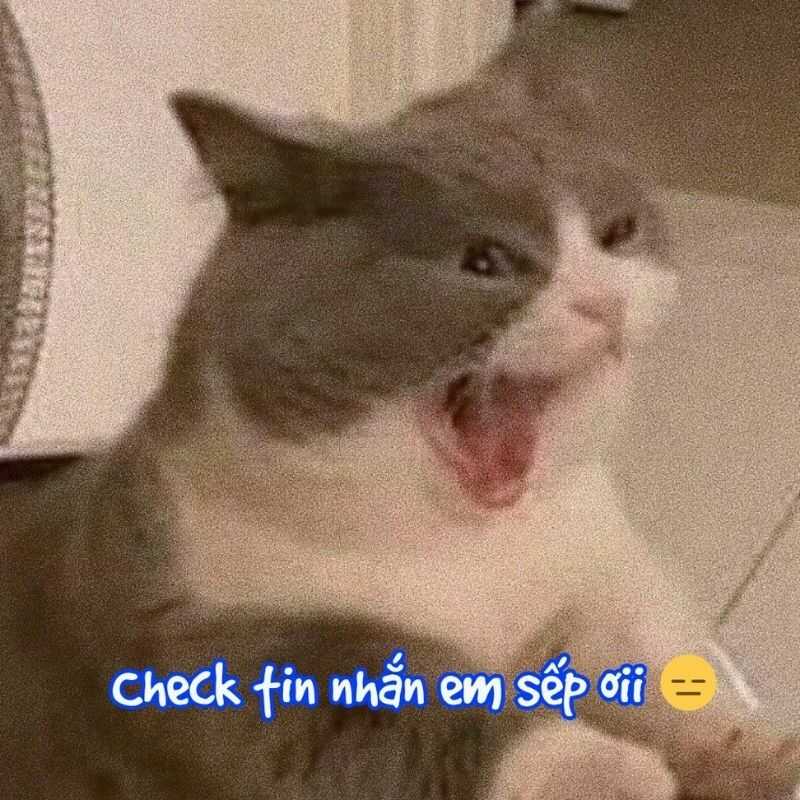 199+ meme công sở hài hước khiến dân văn phòng cười xỉu 59 Meme công sở sếp - nhân viên