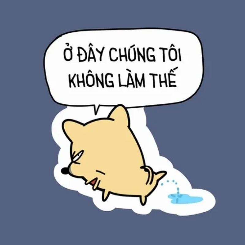 199+ meme công sở hài hước khiến dân văn phòng cười xỉu 73 meme chốn công sở cợt nhã sếp